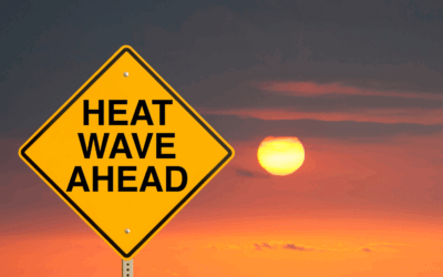 Staying Safe in the Alabama Heat